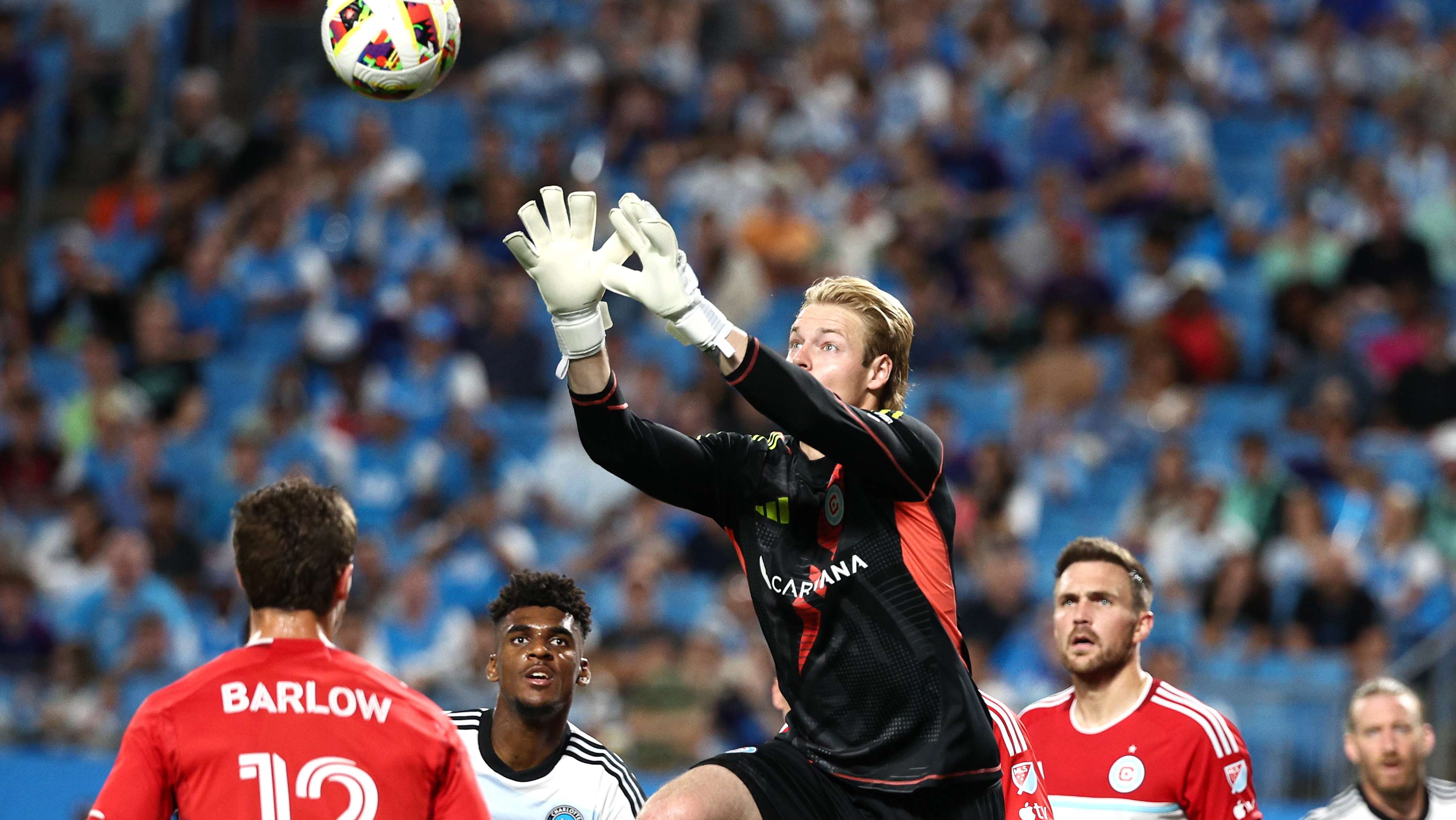 他的言论中 他的言论中